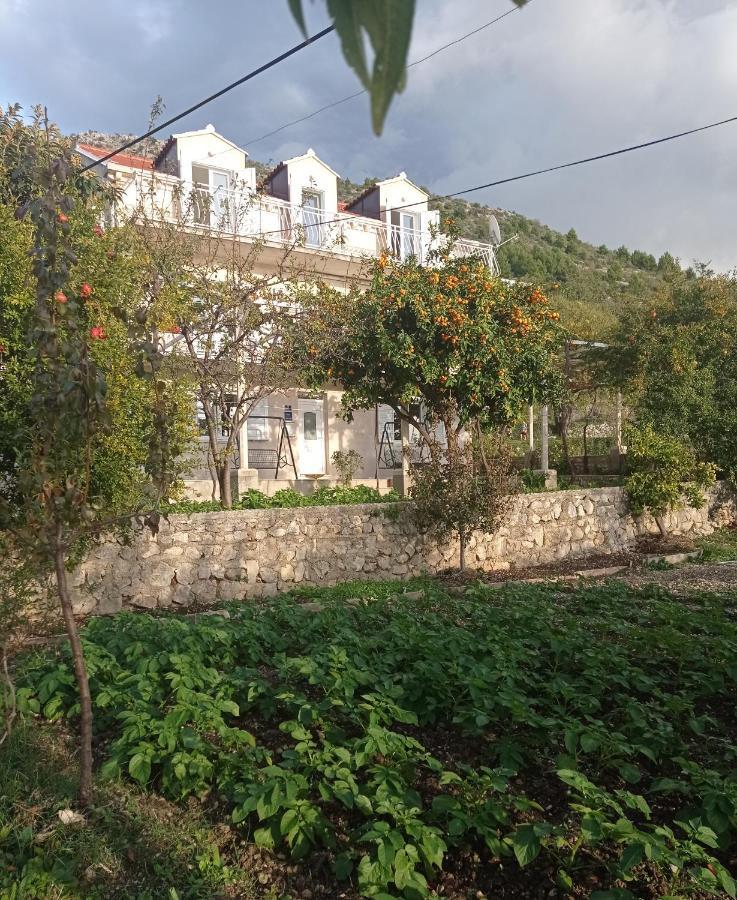 Apartment Lucija With Sea View Dubrovnik Exterior foto